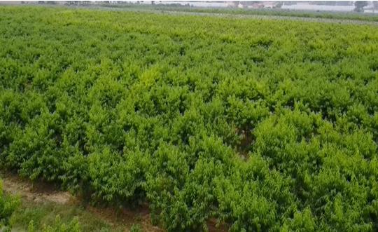 富平最新轉(zhuǎn)讓信息，變化中的機(jī)遇，成就感的源泉，自信閃耀時(shí)刻