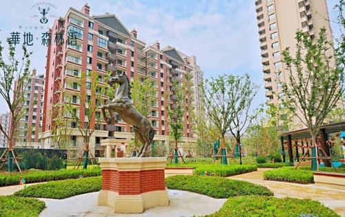 華地森林語最新房價概覽及相關(guān)觀點論述