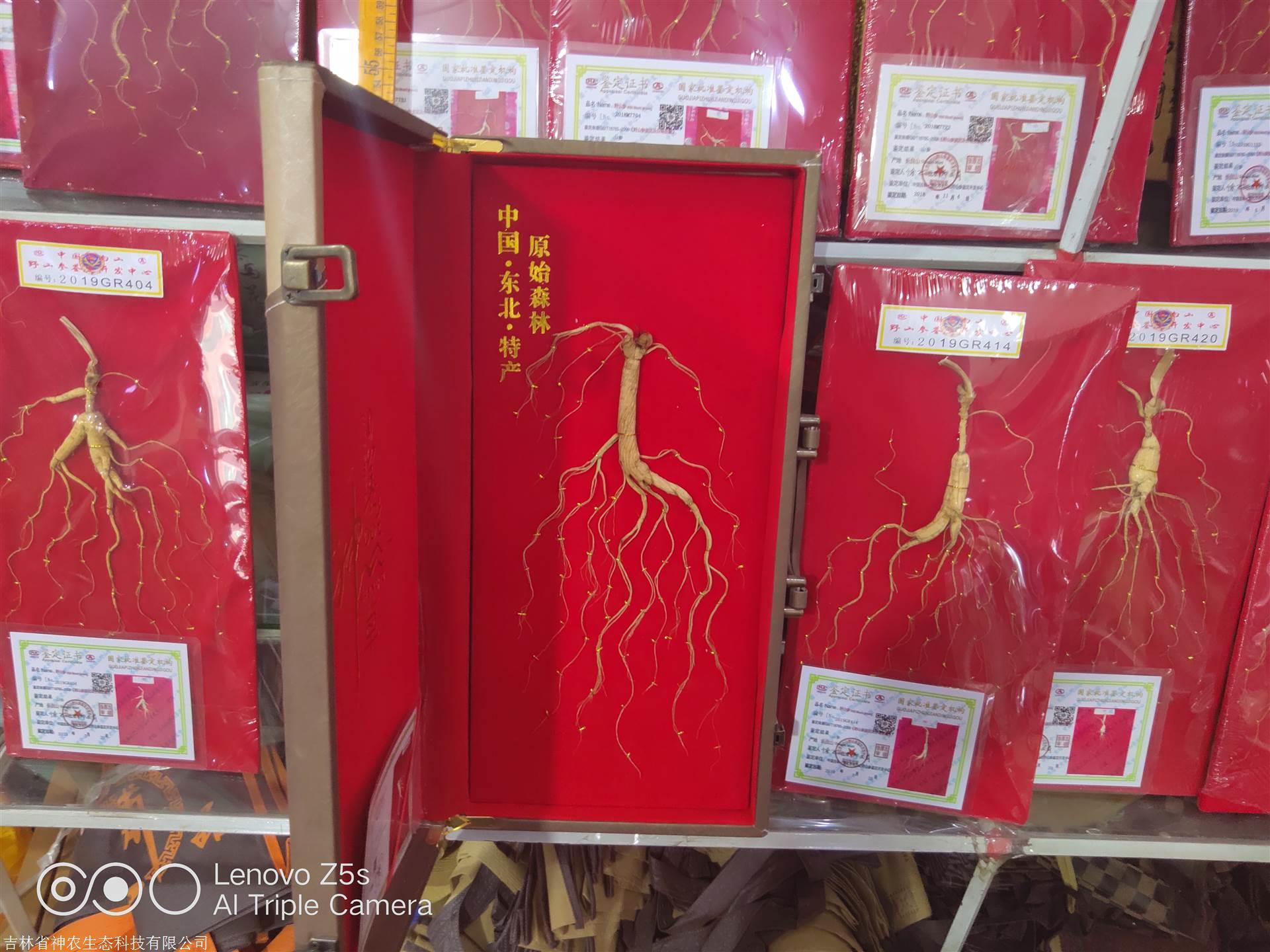 人參價(jià)格解析，市場(chǎng)走勢(shì)、品質(zhì)差異及影響因素深度探討