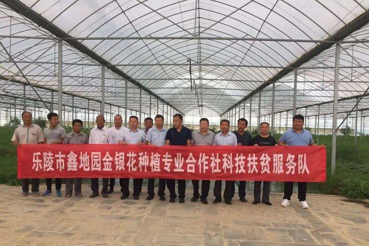 新型環(huán)剝設(shè)備，小巷中的科技新星