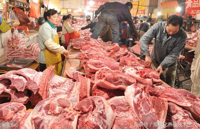 科技助力豬肉價(jià)格跟蹤，智能監(jiān)控，洞悉未來(lái)市場(chǎng)動(dòng)態(tài)