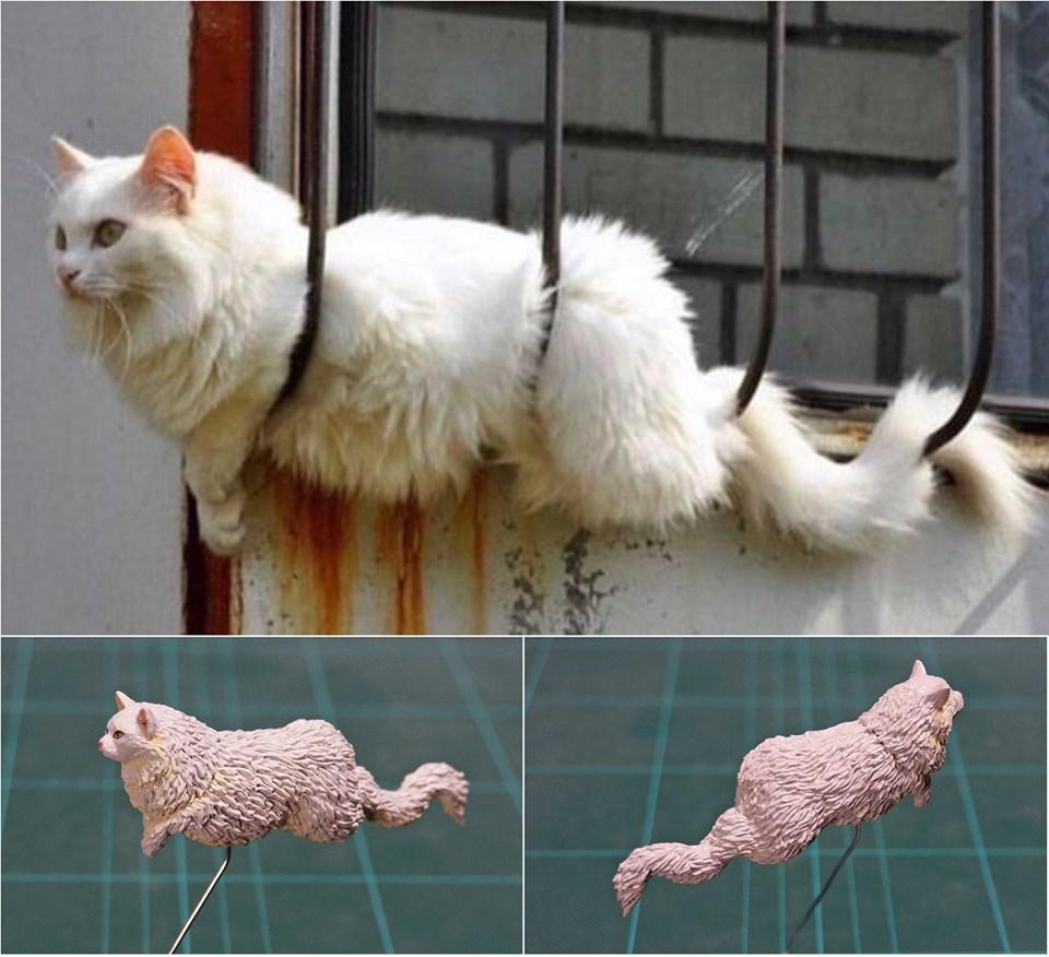 神之手比賽，技藝巔峰的榮耀之戰(zhàn)