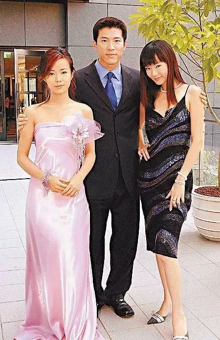 謝金燕與李政穎最新動態(tài)，星光閃耀，攜手共繪時代畫卷