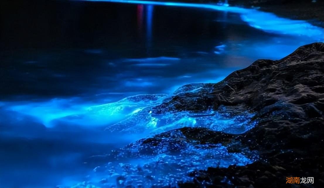 最新藍眼淚現(xiàn)象，尋找內心平靜的奇妙旅程