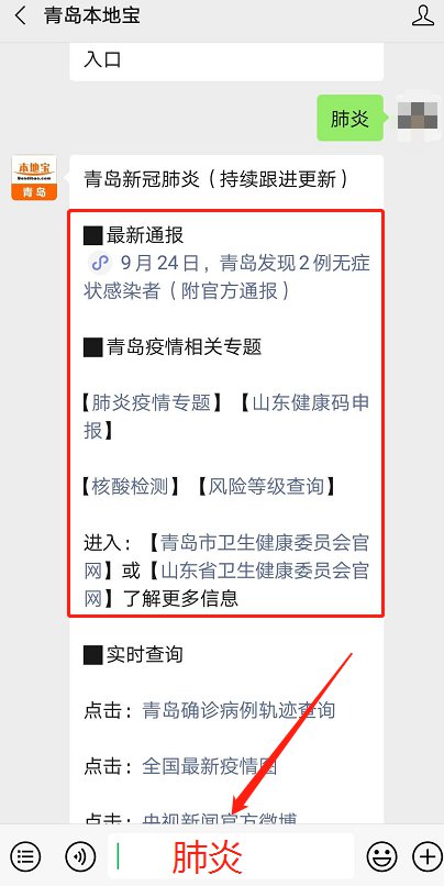 青島最新動(dòng)態(tài)，多維度視角下的城市發(fā)展探析