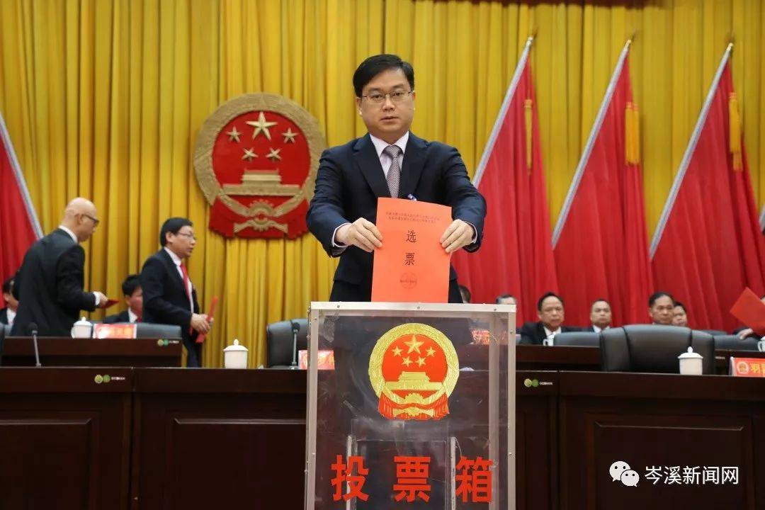 岑溪人事任免信息詳解，獲取指南及初學者進階指南