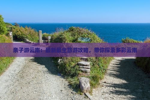 云南旅游最新攻略,云南旅游最新攻略，自信之旅，探索變化中的美景與成就感