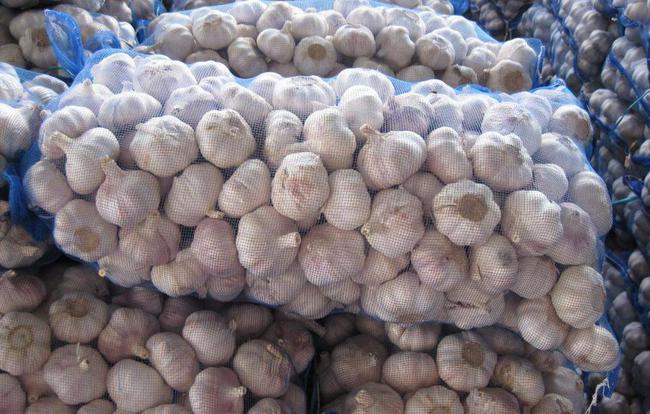 開封大蒜最新市場價(jià)格，時(shí)代味道與市場動(dòng)態(tài)同步更新