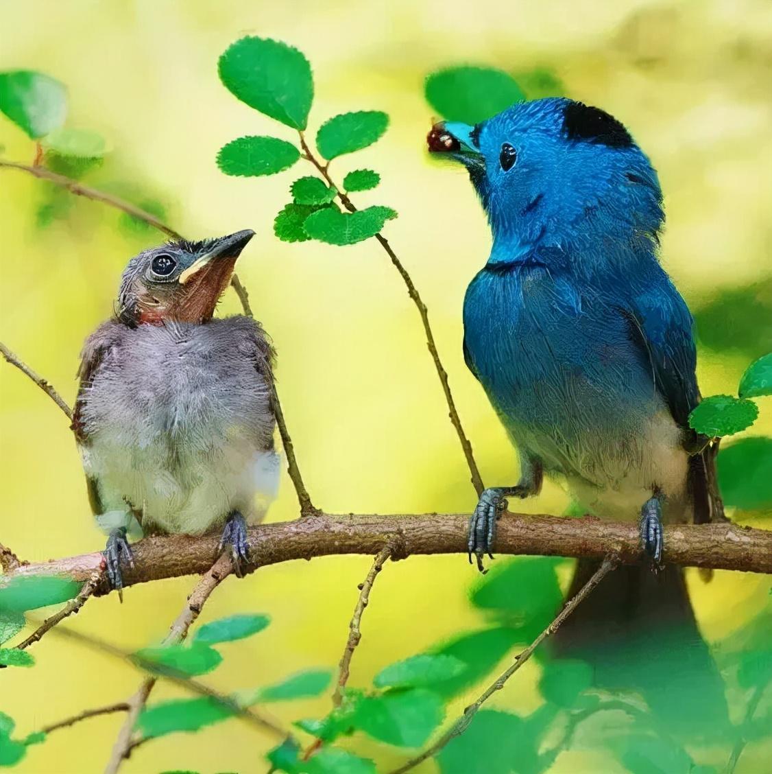 五十路演員,五十路演員的高科技產(chǎn)品介紹