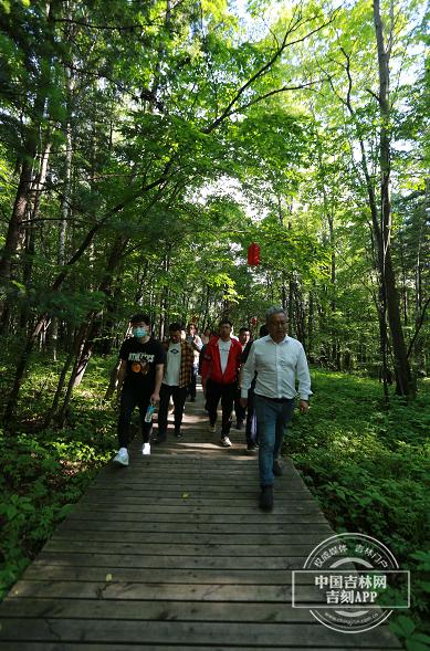 夢(mèng)幻遮天最新版下載攻略，快速獲取下載渠道與指南