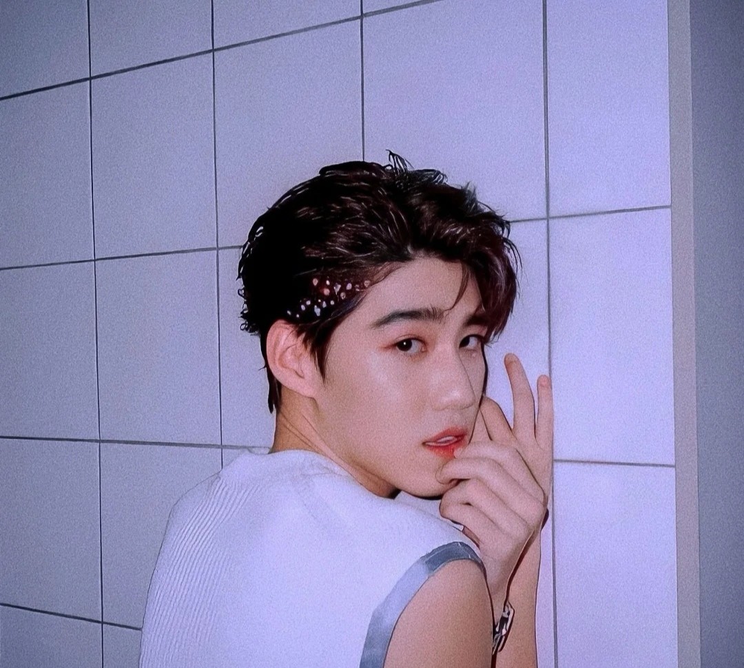 PP最新動態(tài),PP最新動態(tài)，塑造新時代的獨特力量