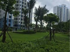 瓊海翠屏灣最新動態(tài)更新