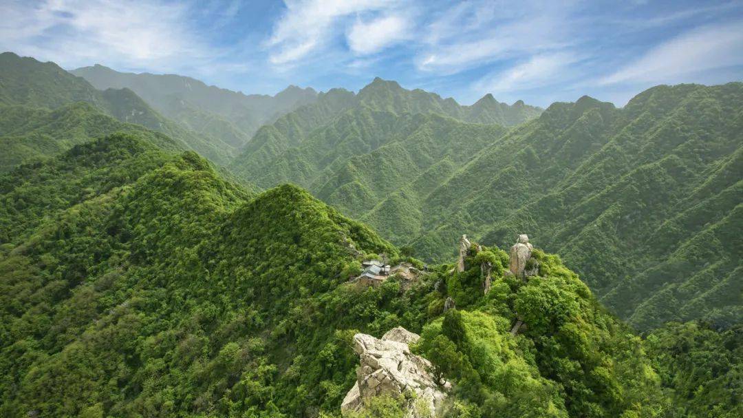 秦嶺最新動態(tài)，探險之旅與溫情之旅的奇妙交匯