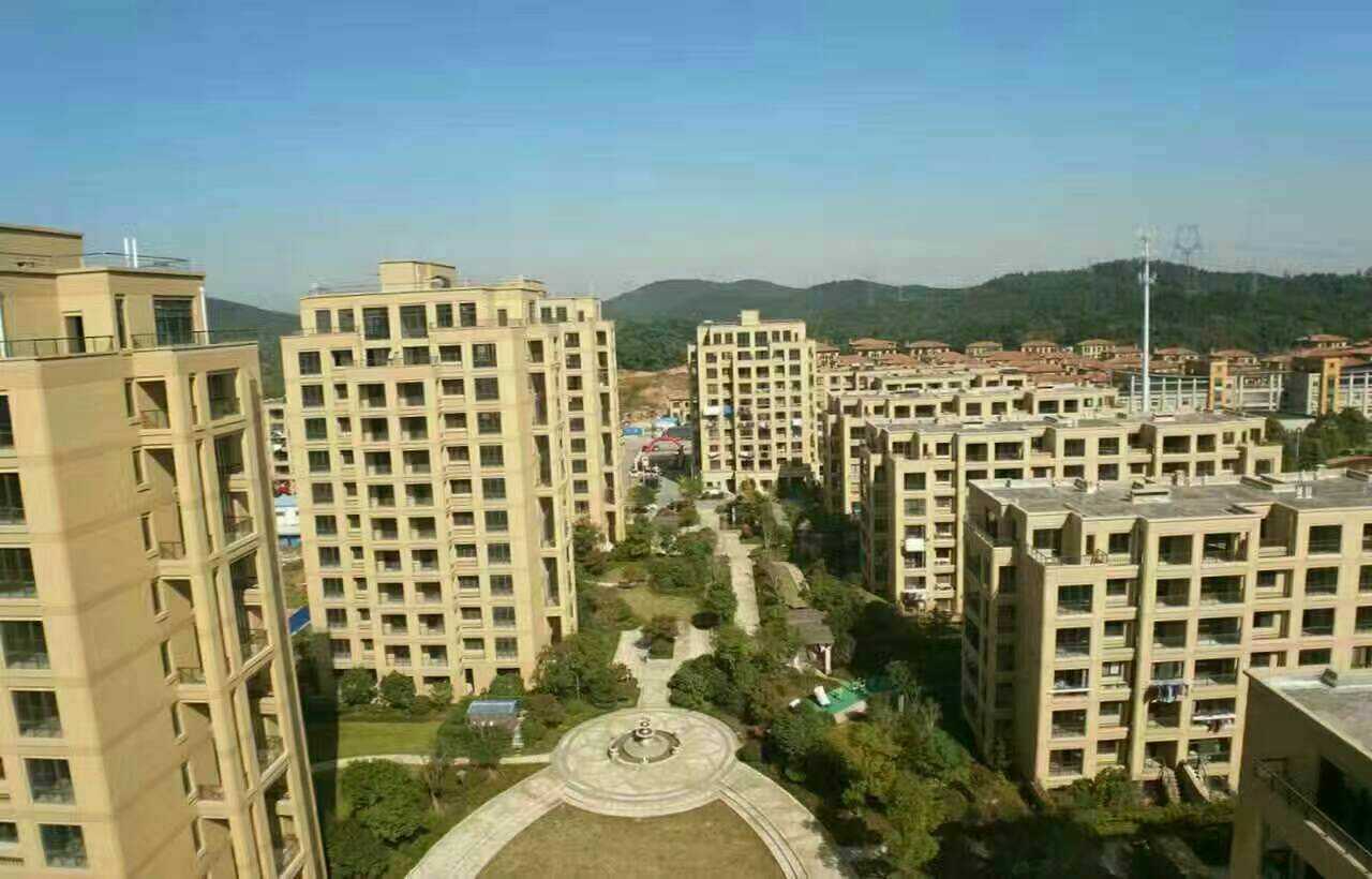 長興二手房資訊，科技引領房產新紀元，智能體驗重塑生活空間