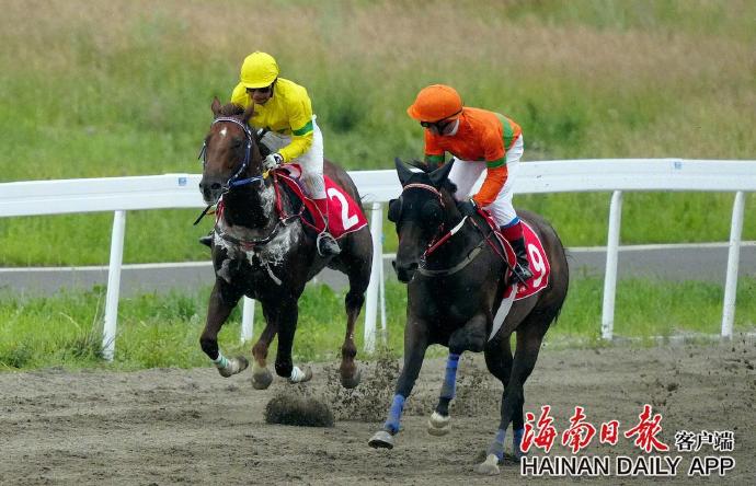 海南賽馬政策最新動(dòng)態(tài)下的賽馬情緣揭秘