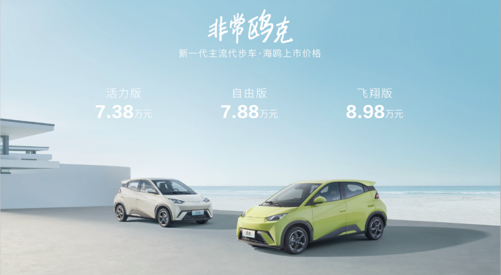 比亞迪海鷗價(jià)格背后的故事，與家的溫馨紐帶，探尋海鷗情感價(jià)值