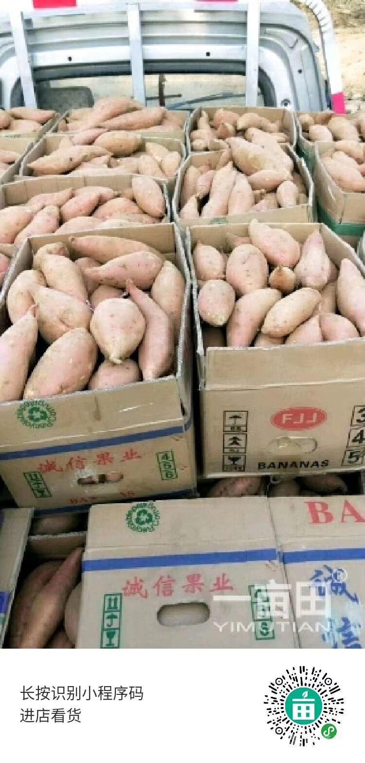 地瓜價格動態(tài)走勢,地瓜價格動態(tài)走勢，變化中的機遇與自我超越的旅程