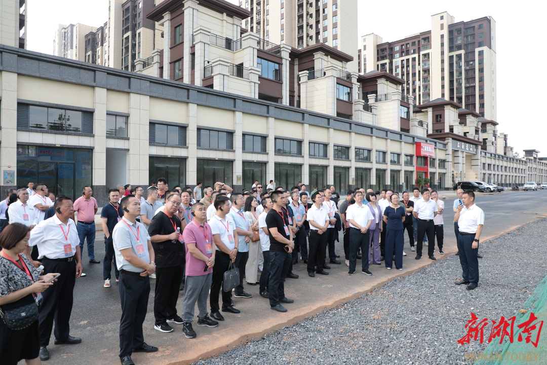 道州紅網(wǎng)最新動(dòng)態(tài)揭秘，數(shù)字時(shí)代文化繁榮的影響力