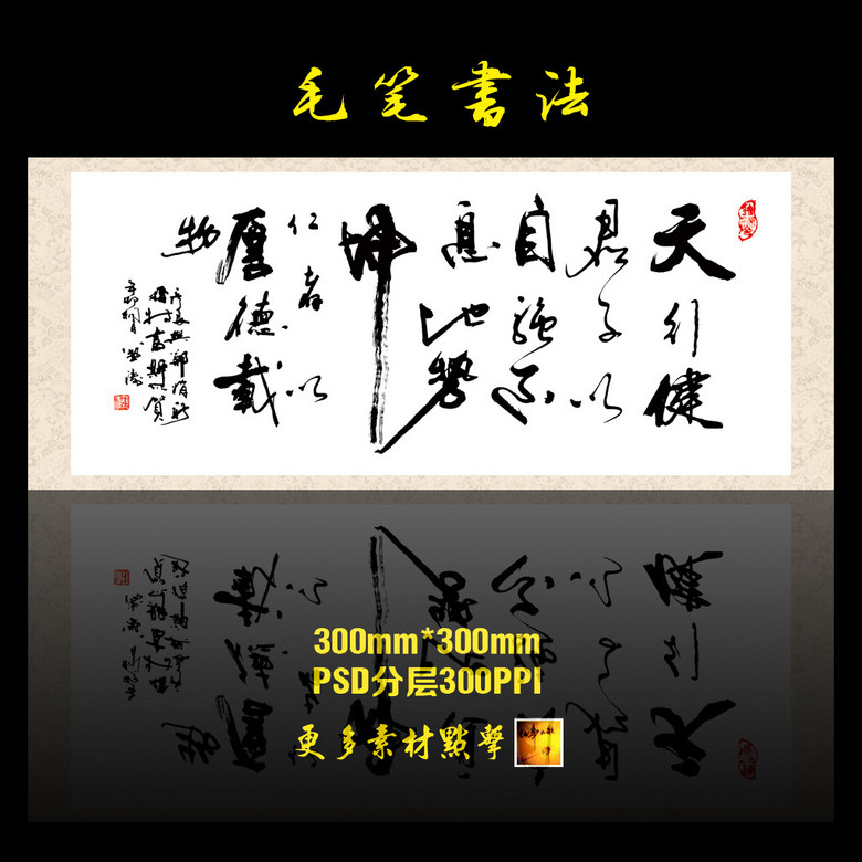 天行健上市,天行健上市，邁向資本市場(chǎng)的堅(jiān)實(shí)步伐