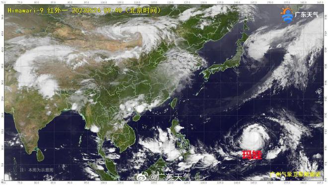 臺(tái)風(fēng)瑪娃逆風(fēng)成長(zhǎng)與力量展現(xiàn)的最新動(dòng)態(tài)