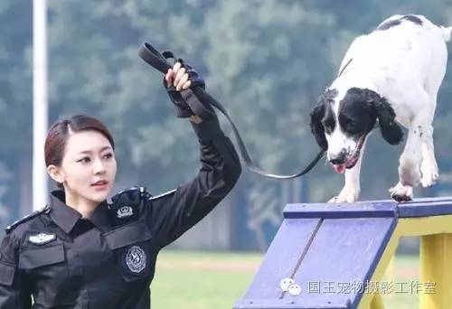 警花與警犬，鐵血柔情演繹真實警魂的演員們