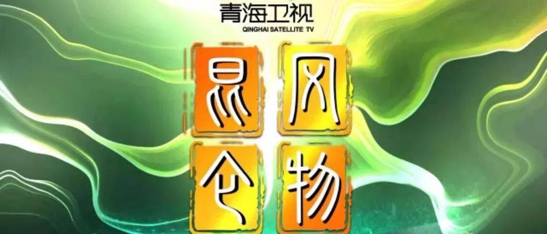 青海人事任免最新動(dòng)態(tài)，溫情故事揭秘人事變遷