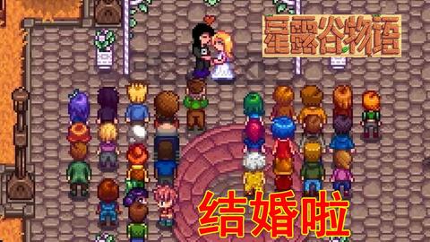 星露谷物語楊桃酒價(jià)格詳解及購買指南