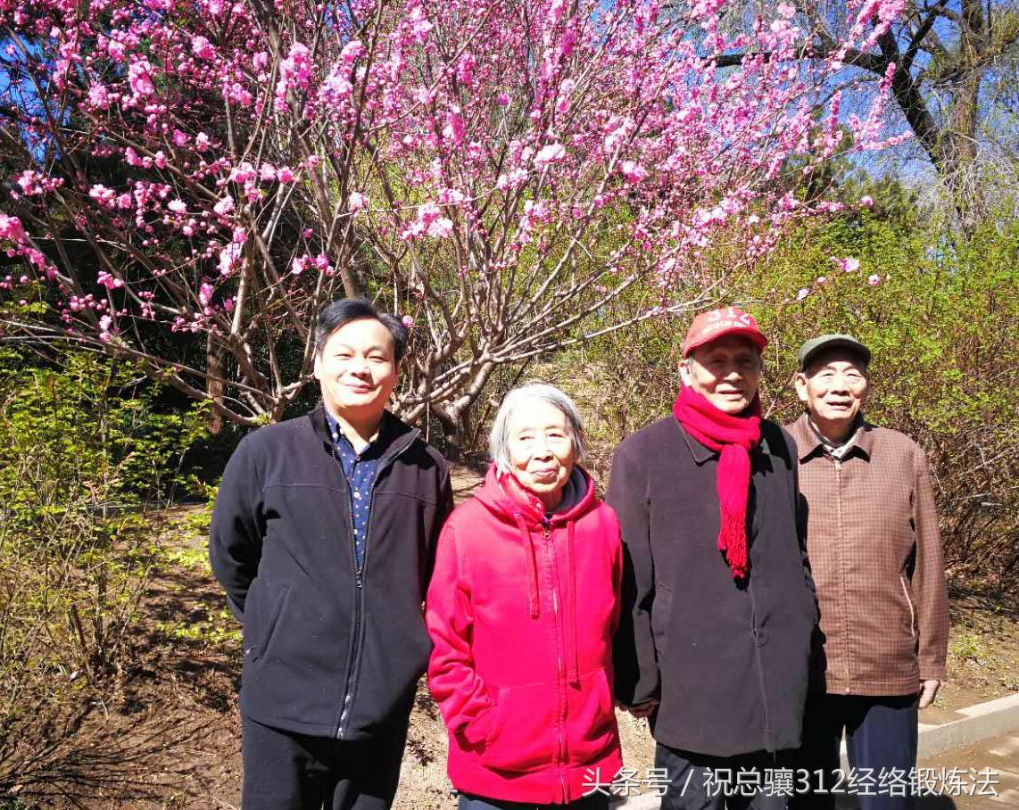 祝總驤最新資訊揭秘，城市中的溫情日常