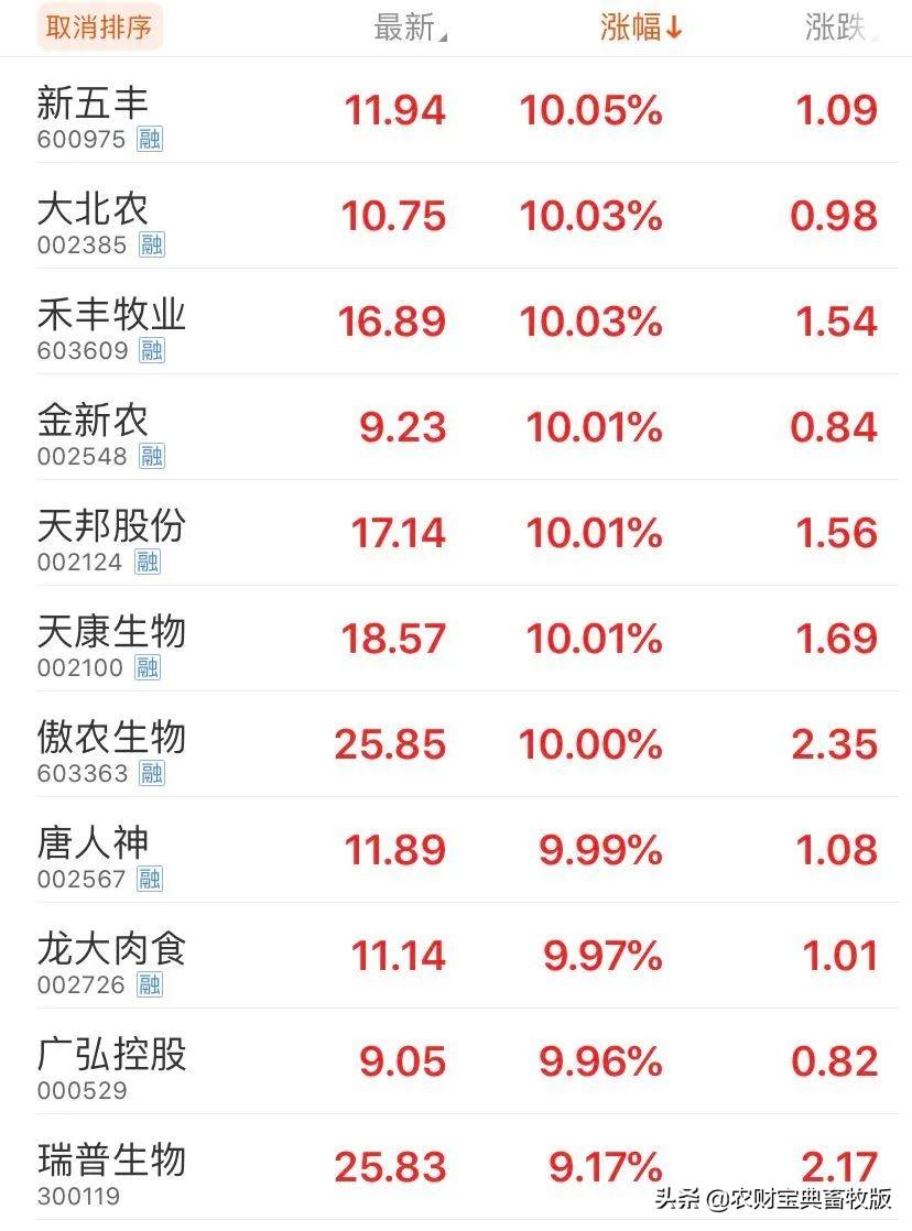 股票新五豐，深度解析投資價值與策略選擇