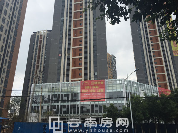 昆明名旺角最新資訊全攻略，資訊獲取指南與動態(tài)速遞