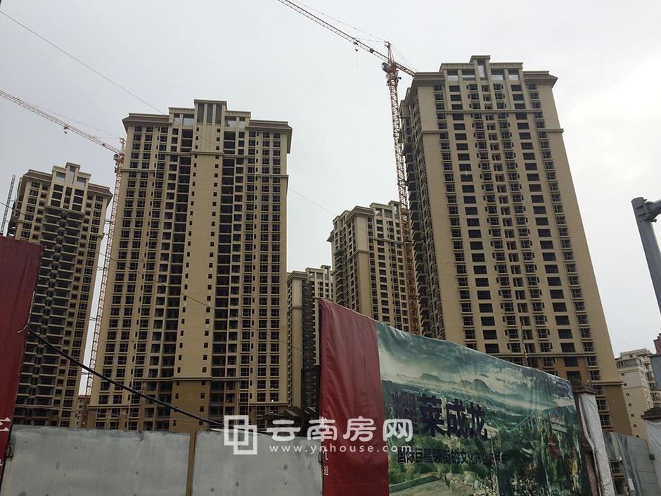 昆明名旺角最新資訊全攻略,資訊獲取指南與動態(tài)速遞