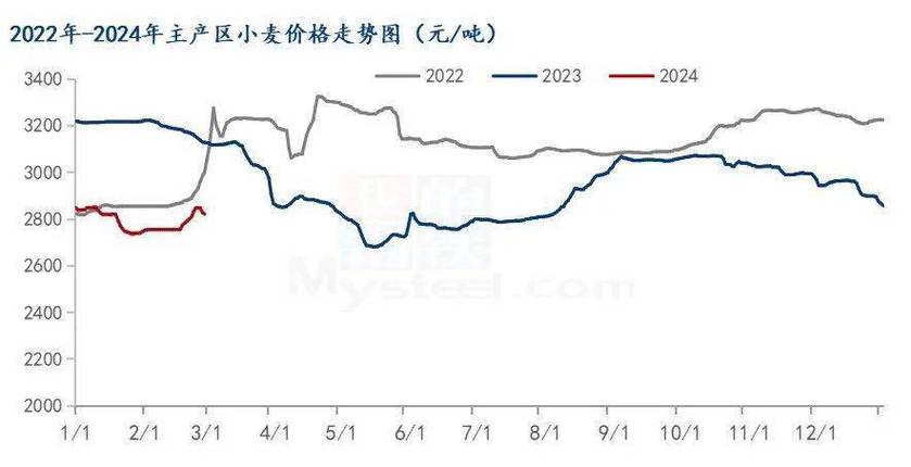 商丘小麥價格最新行情及分析概述