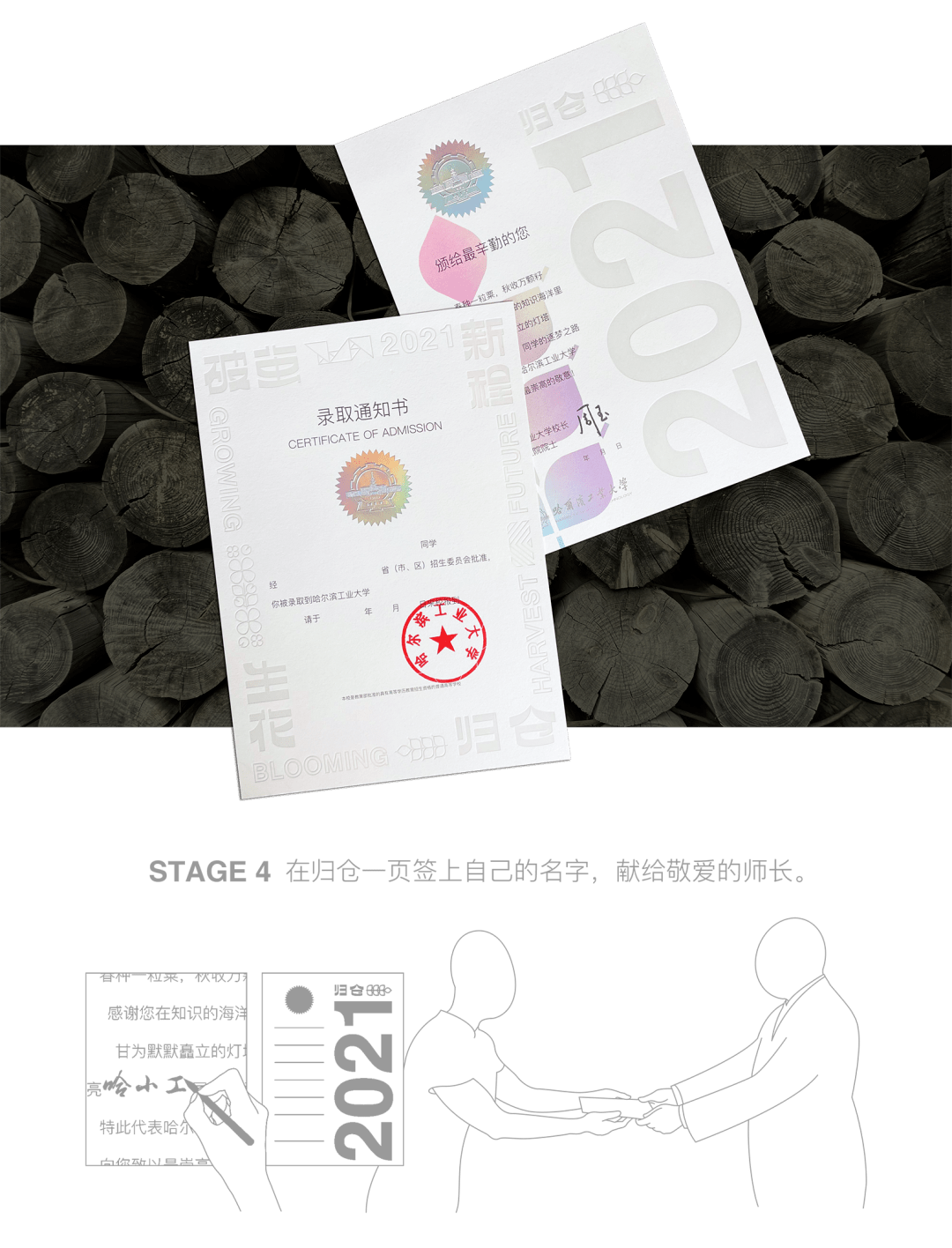 小巷印章探秘，最新章節(jié)揭秘官方印章的魅力