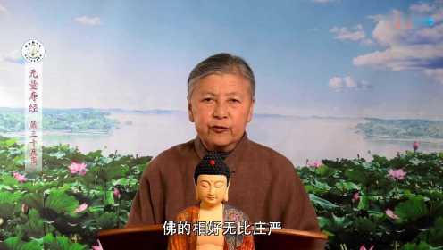 劉素云2025年最新講法深度解析與觀點(diǎn)分享