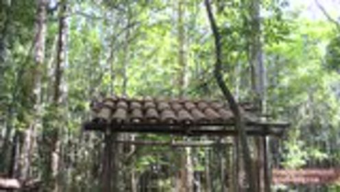 澳洲小哥荒野求生紀實，學習荒野求生技能的必備指南