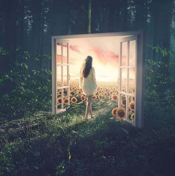 微信收費(fèi)服務(wù)位置查詢最新探討，功能解析與影響分析