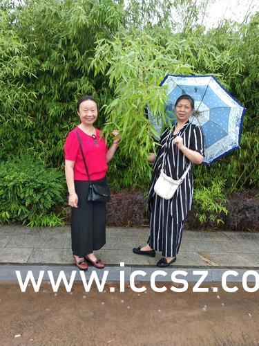 最新美女圖片，時(shí)代印記與文化的鏡像展現(xiàn)