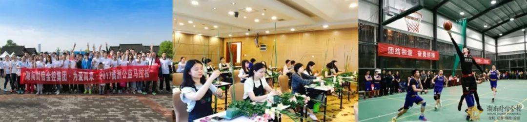 財信發(fā)展最新公告深度解讀與觀點闡述