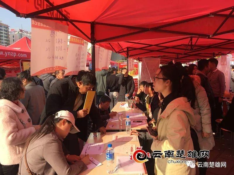 東鄉(xiāng)縣最新招聘資訊，職業(yè)發(fā)展的理想選擇地，尋找人才與機遇的交匯點