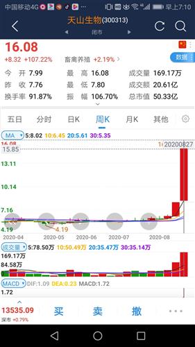 最新操縱股市小說及其創(chuàng)作步驟指南