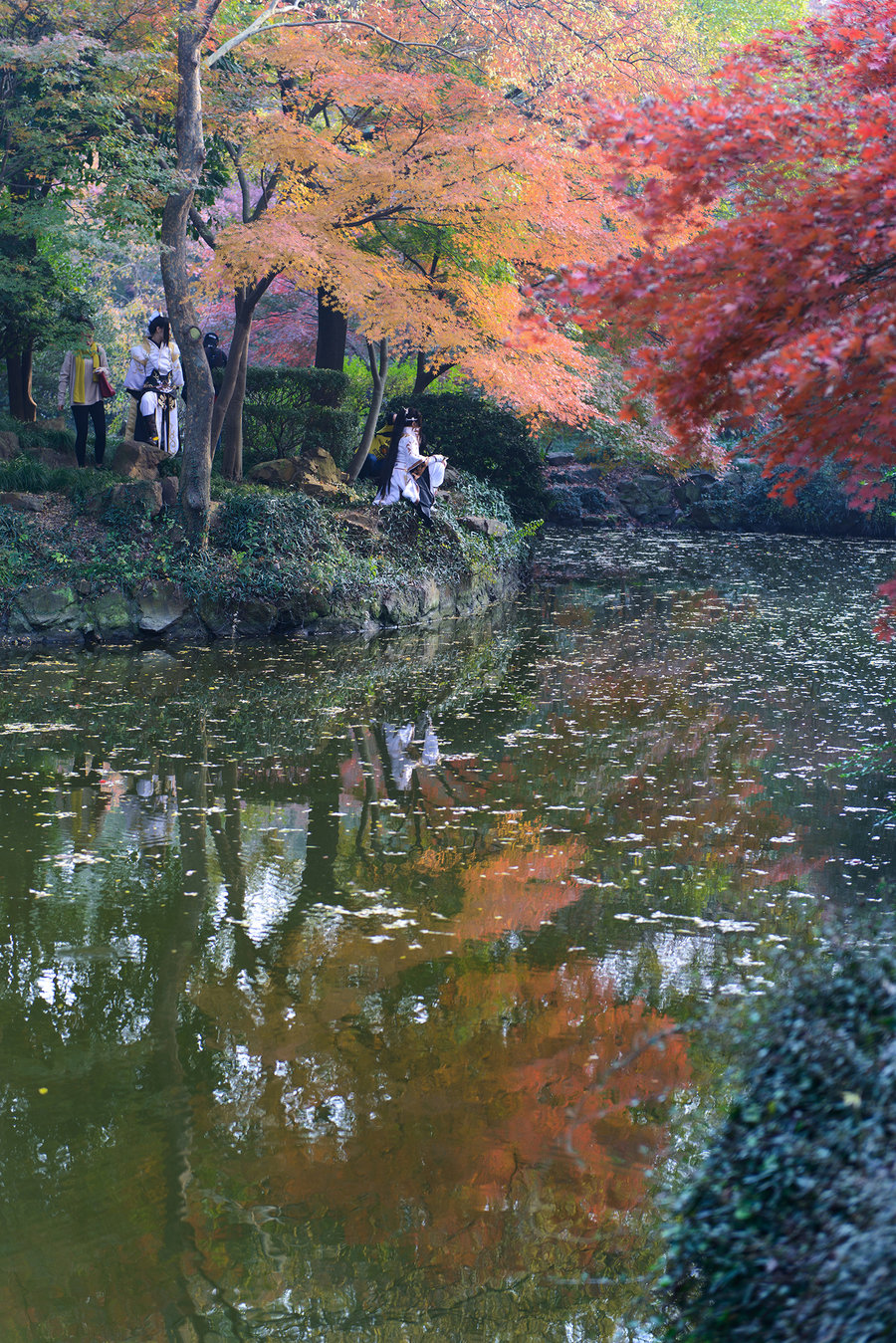 秋霞影院最新，電影藝術的現代盛宴