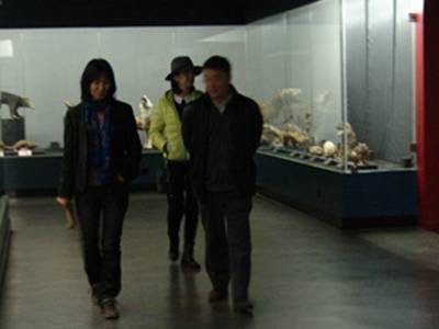 李元潮最新動態(tài)揭秘，小巷深處的獨特風味探秘之旅