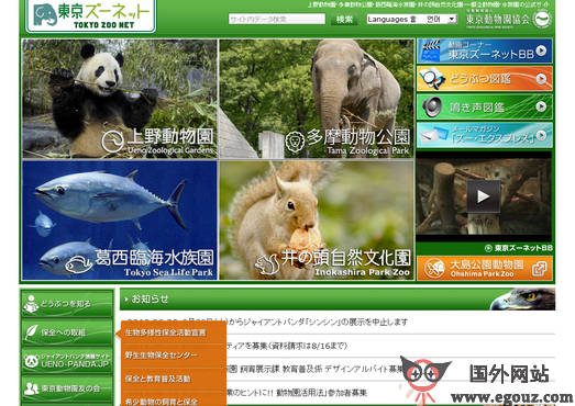 最新動物園網(wǎng)站，自然美景的探索之旅