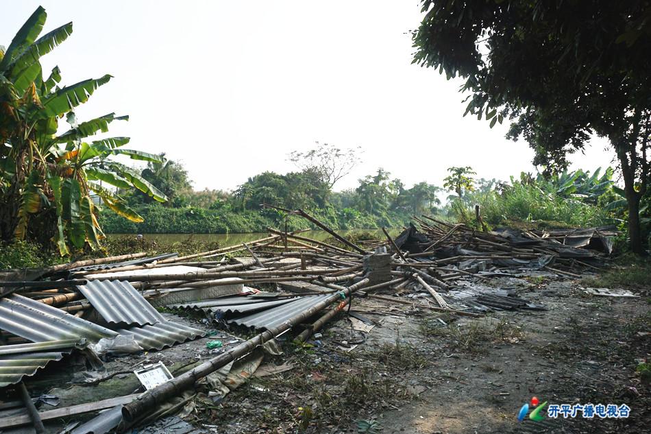 開平三埠最新招聘信息全面概覽