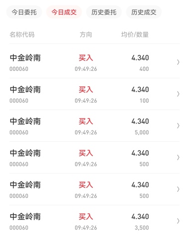 中金嶺南行情深度解析，最新動態(tài)與走勢分析