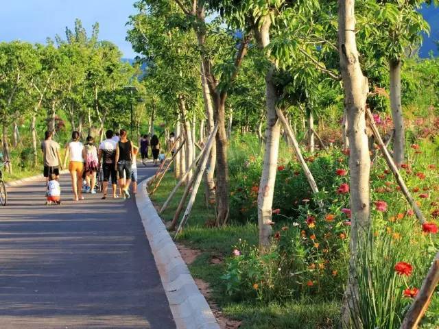 安寧河谷規(guī)劃進展更新及觀點論述綜述