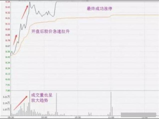 小巷深處的股票故事與特色小店探索