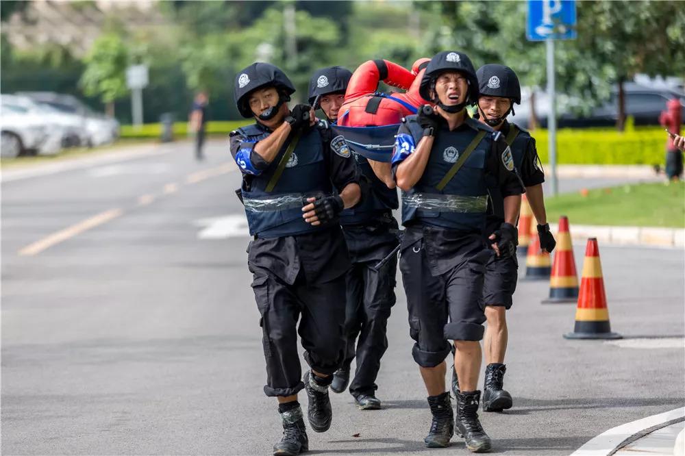 電視劇武裝特警演員表，自信、變化與成就感的勵志之旅探索