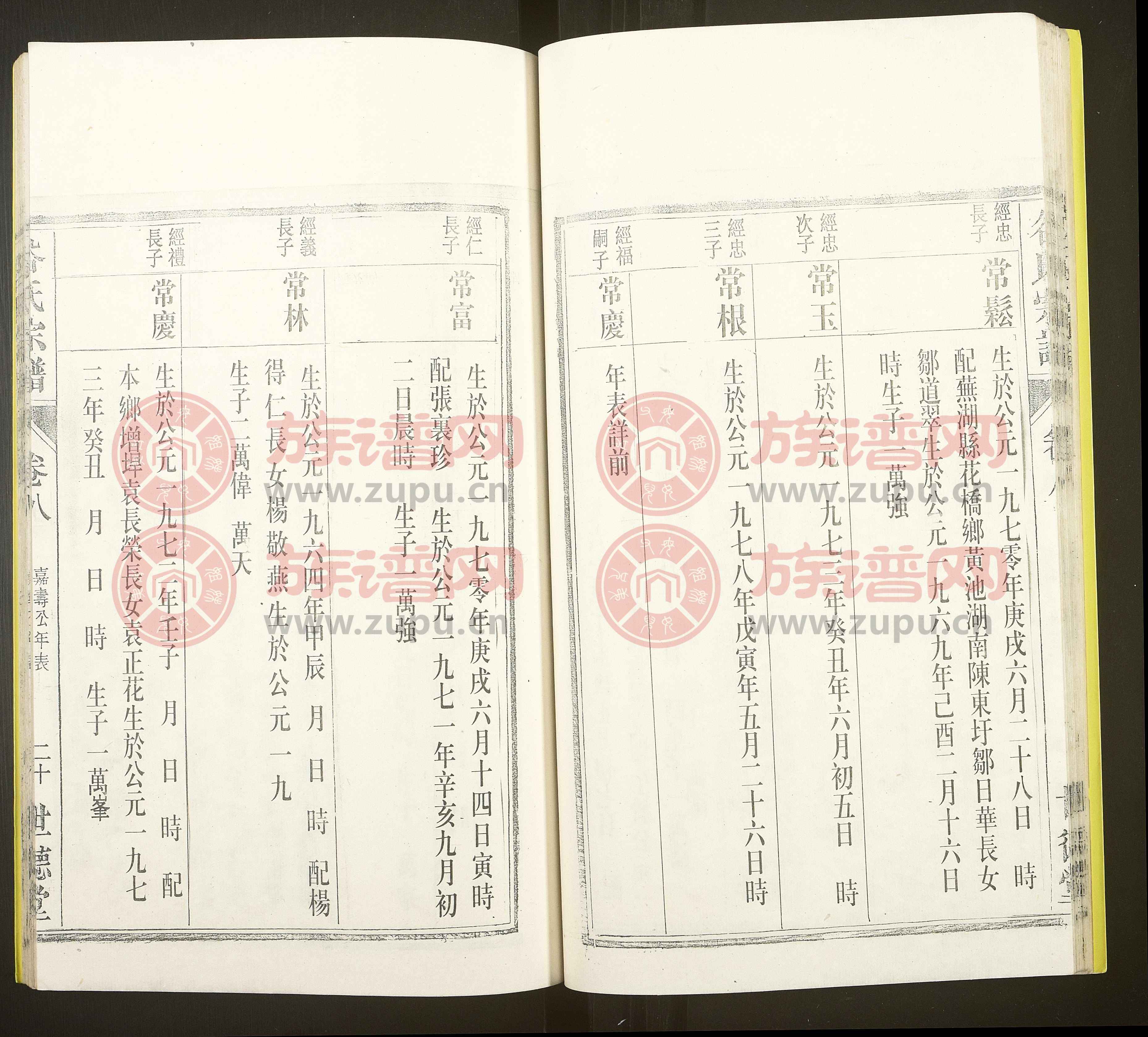 谷氏族譜更新版，探尋歷史脈絡(luò)，傳承家族榮耀與榮耀谷氏血脈的世代傳承故事