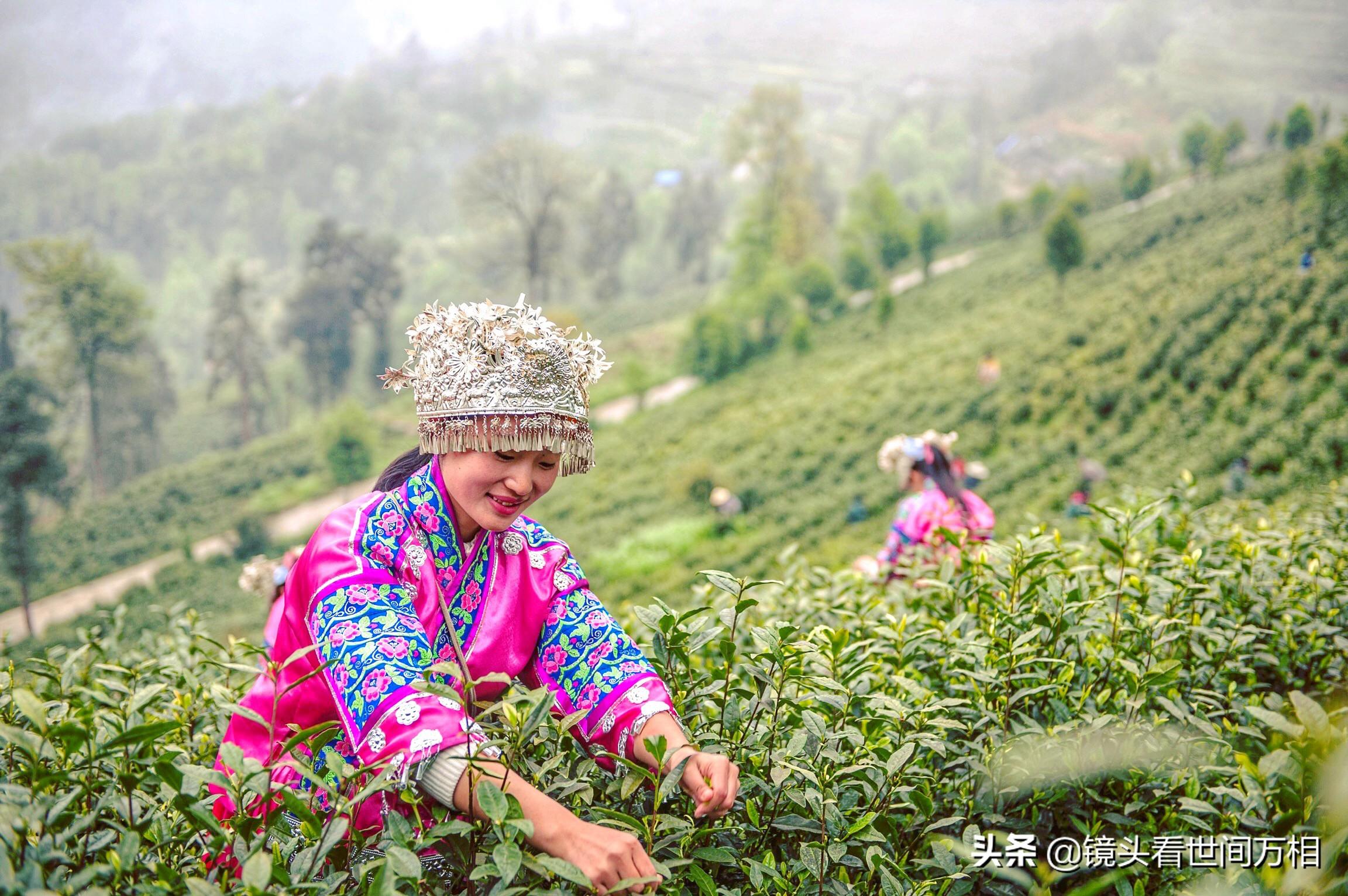 黔南新聞快訊，新鮮出爐的當?shù)刭Y訊，不容錯過！